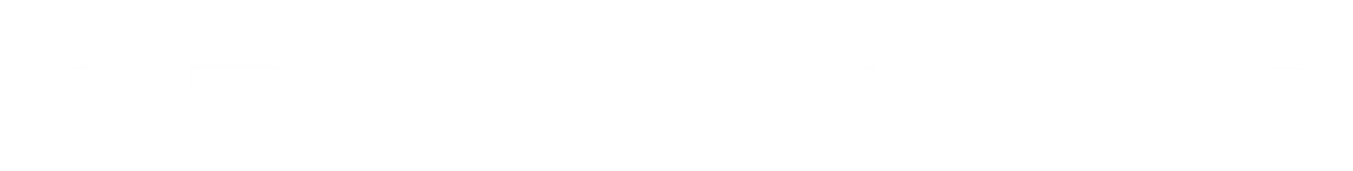 Your Website Your Asset